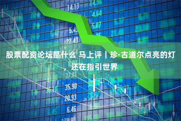 股票配资论坛是什么 马上评｜珍·古道尔点亮的灯，还在指引世界