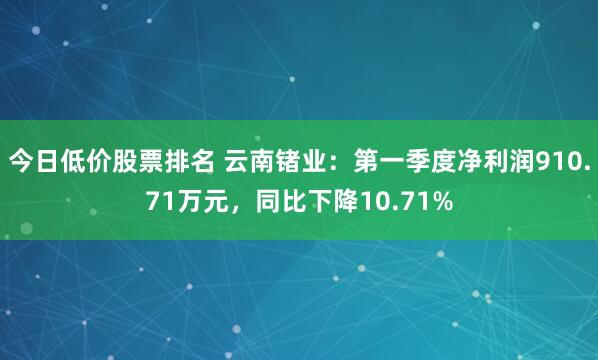 今日低价股票排名 云南锗业：第一季度净利润910.71万元，同比下降10.71%